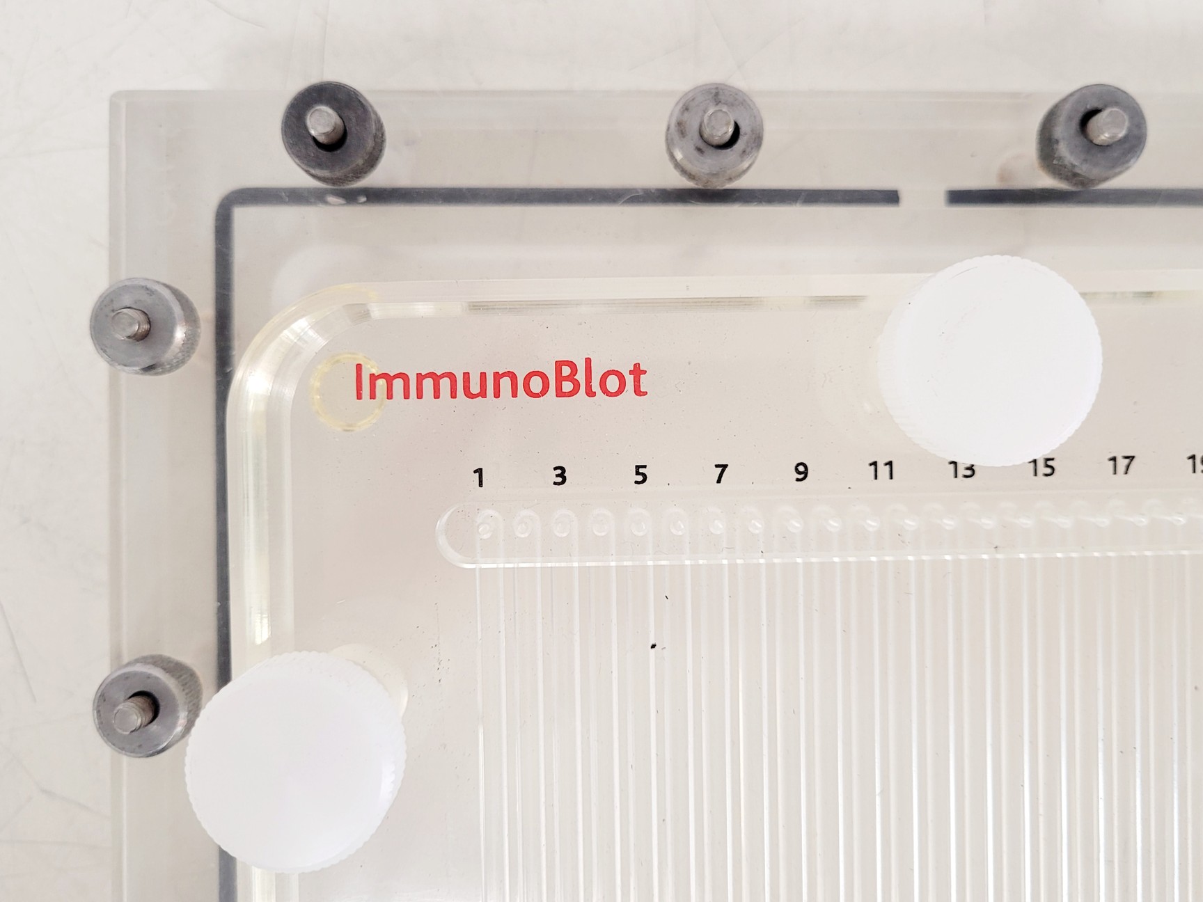 Image of Hoefer 1D Protein Separation & Blotting System (TE77X, SE600, SE250, ImmunoBlot)