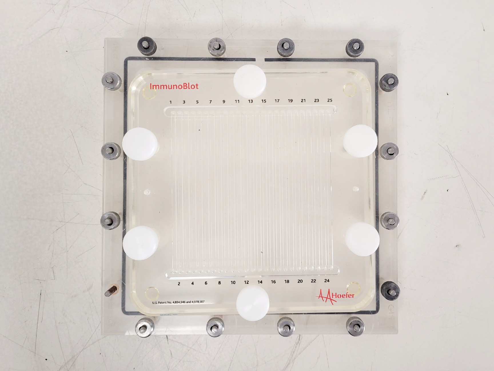 Image of Hoefer 1D Protein Separation & Blotting System (TE77X, SE600, SE250, ImmunoBlot)