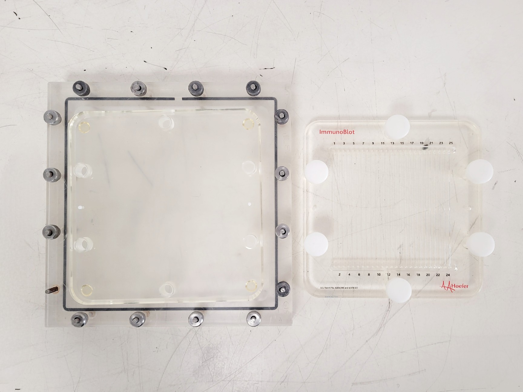 Image of Hoefer 1D Protein Separation & Blotting System (TE77X, SE600, SE250, ImmunoBlot)
