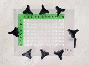 Thumbnail image of Hoefer 1D Protein Separation & Blotting System (TE77X, SE600, SE250, ImmunoBlot)