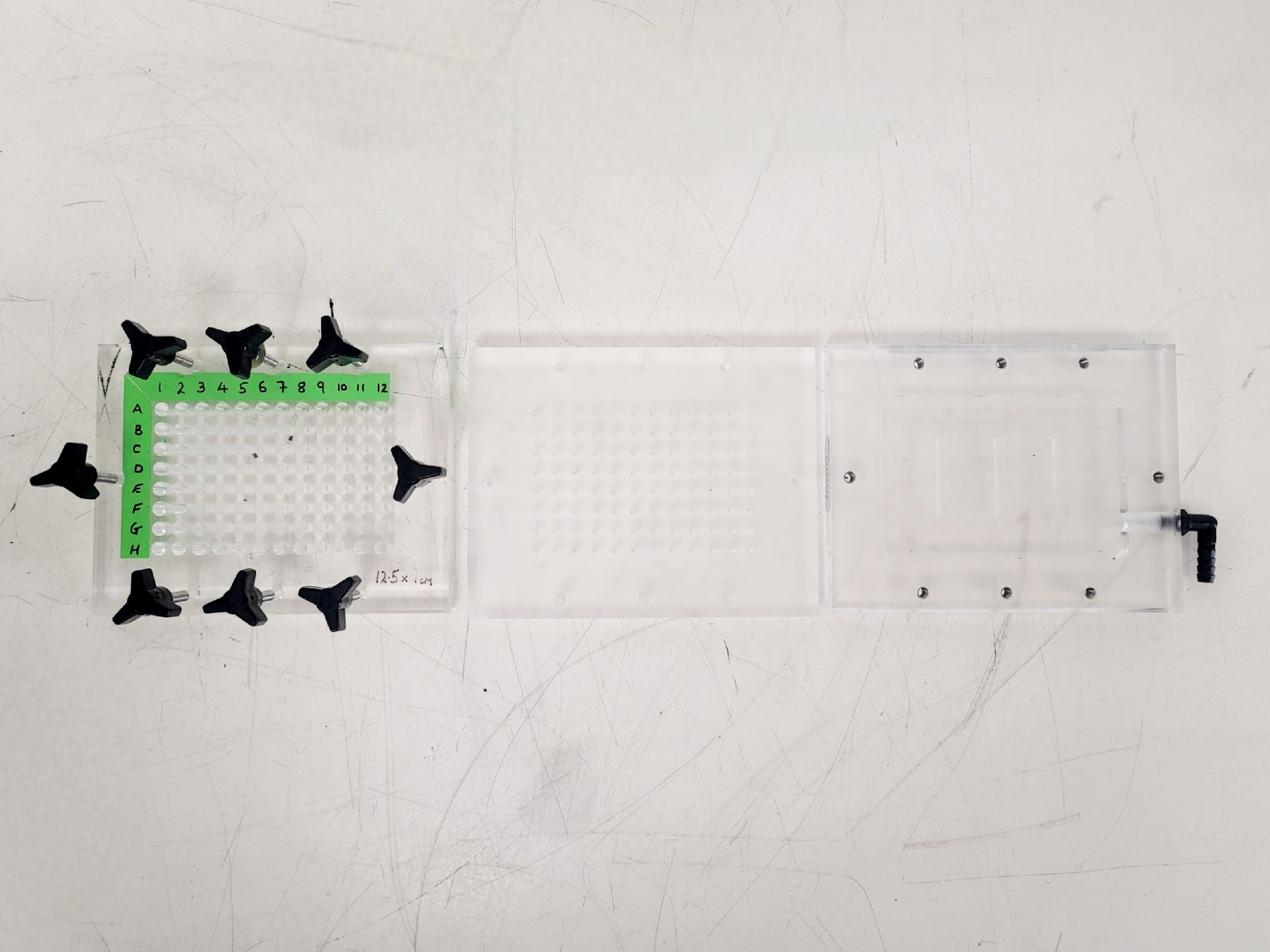 Image of Hoefer 1D Protein Separation & Blotting System (TE77X, SE600, SE250, ImmunoBlot)