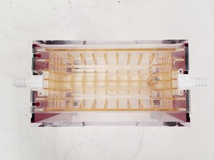 Thumbnail image of Hoefer 1D Protein Separation & Blotting System (TE77X, SE600, SE250, ImmunoBlot)