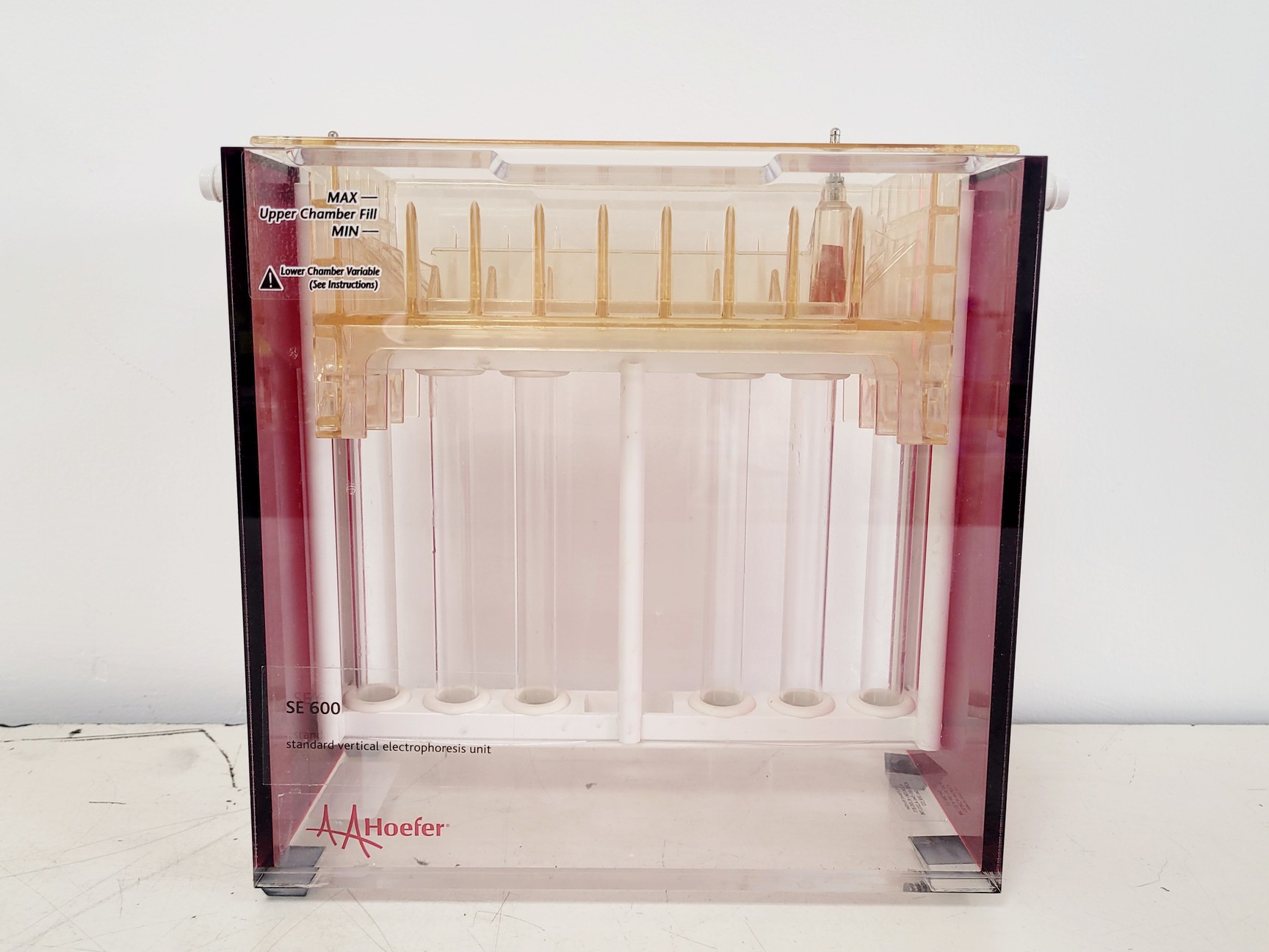 Image of Hoefer 1D Protein Separation & Blotting System (TE77X, SE600, SE250, ImmunoBlot)