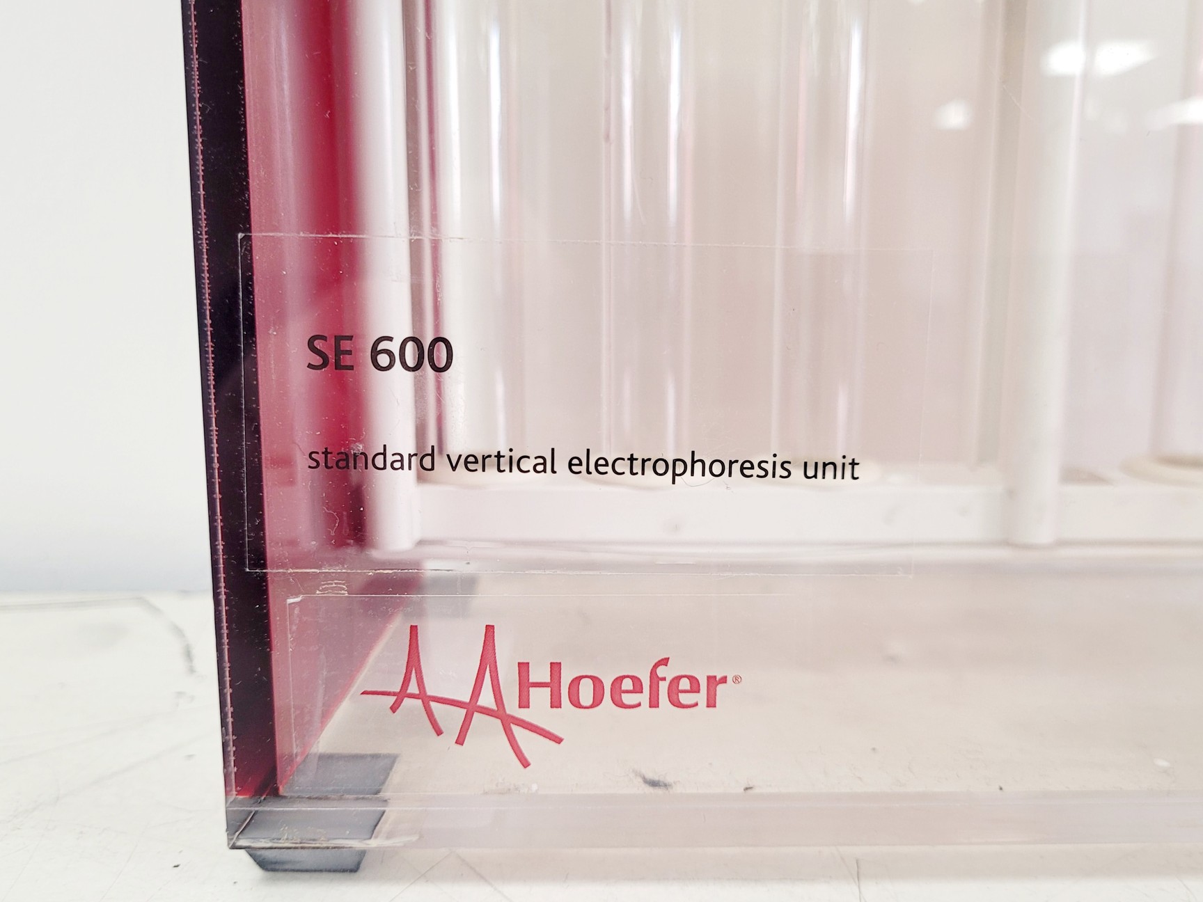 Image of Hoefer 1D Protein Separation & Blotting System (TE77X, SE600, SE250, ImmunoBlot)