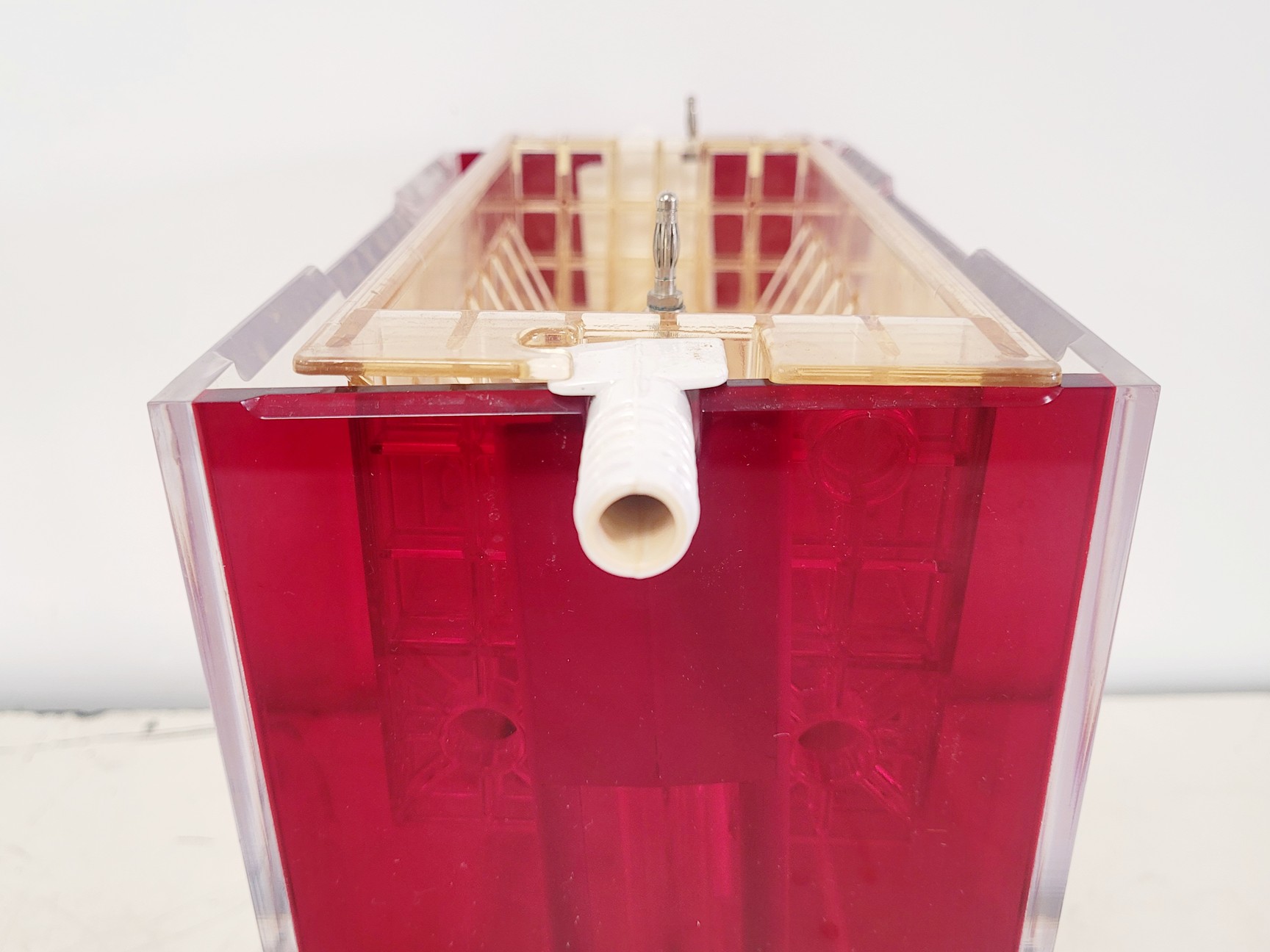 Image of Hoefer 1D Protein Separation & Blotting System (TE77X, SE600, SE250, ImmunoBlot)