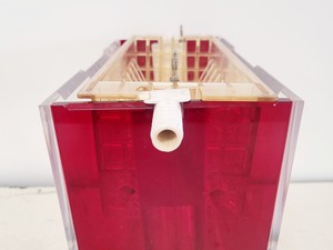 Thumbnail image of Hoefer 1D Protein Separation & Blotting System (TE77X, SE600, SE250, ImmunoBlot)