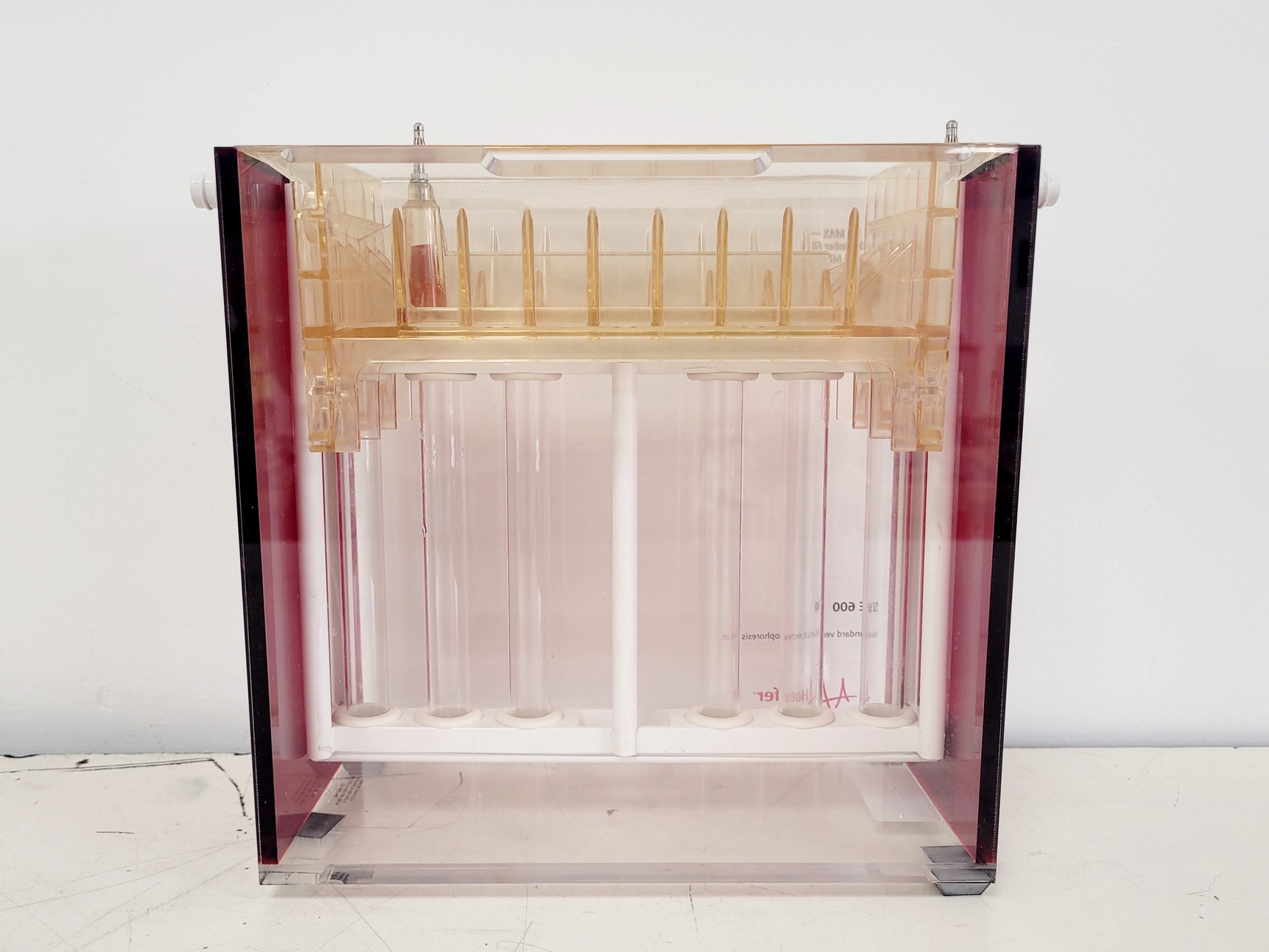 Image of Hoefer 1D Protein Separation & Blotting System (TE77X, SE600, SE250, ImmunoBlot)