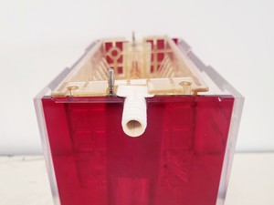 Thumbnail image of Hoefer 1D Protein Separation & Blotting System (TE77X, SE600, SE250, ImmunoBlot)