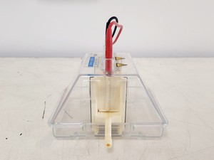 Thumbnail image of Hoefer 1D Protein Separation & Blotting System (TE77X, SE600, SE250, ImmunoBlot)