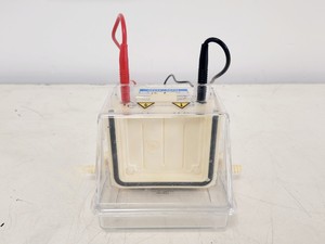 Thumbnail image of Hoefer 1D Protein Separation & Blotting System (TE77X, SE600, SE250, ImmunoBlot)