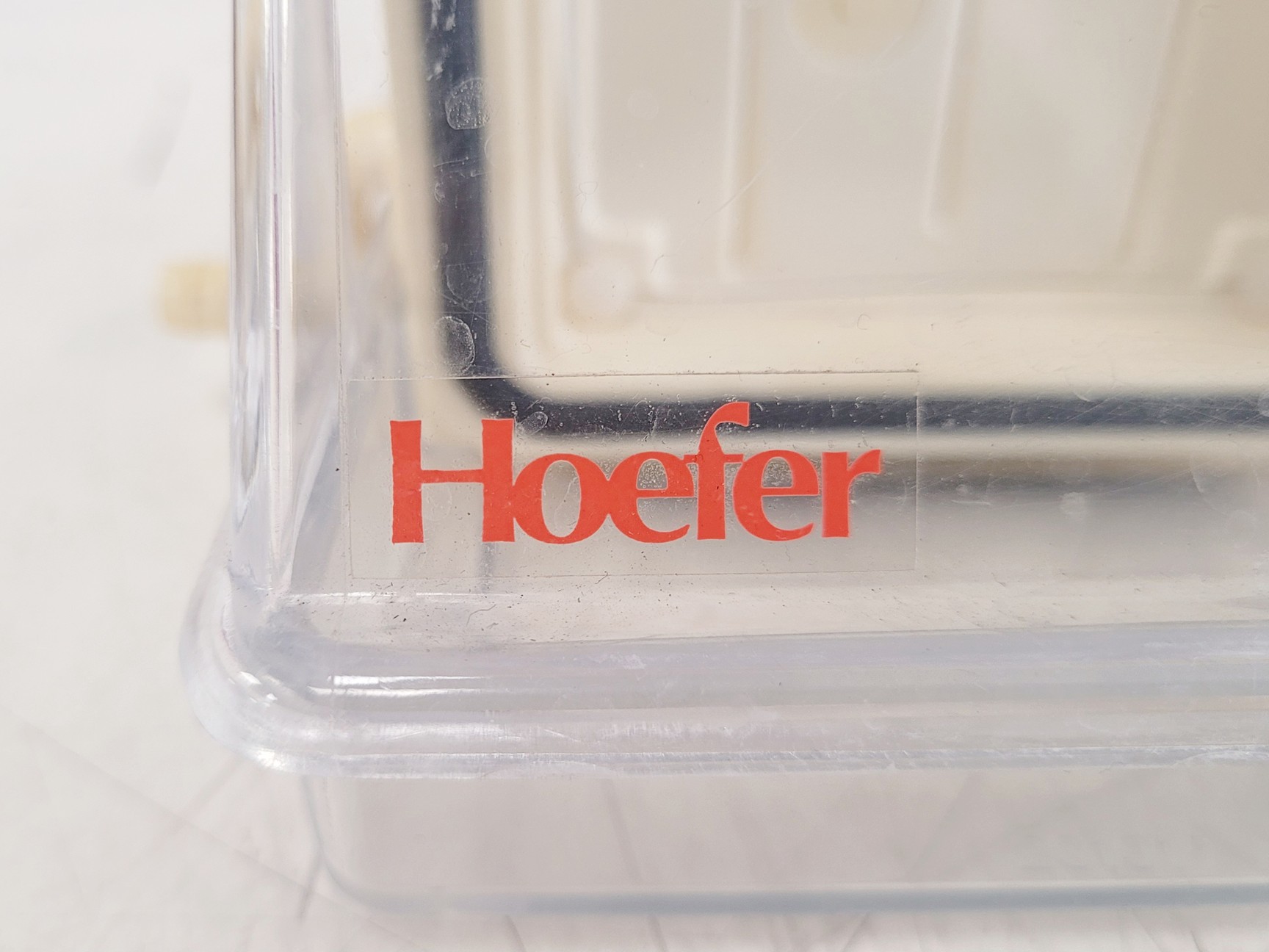 Image of Hoefer 1D Protein Separation & Blotting System (TE77X, SE600, SE250, ImmunoBlot)