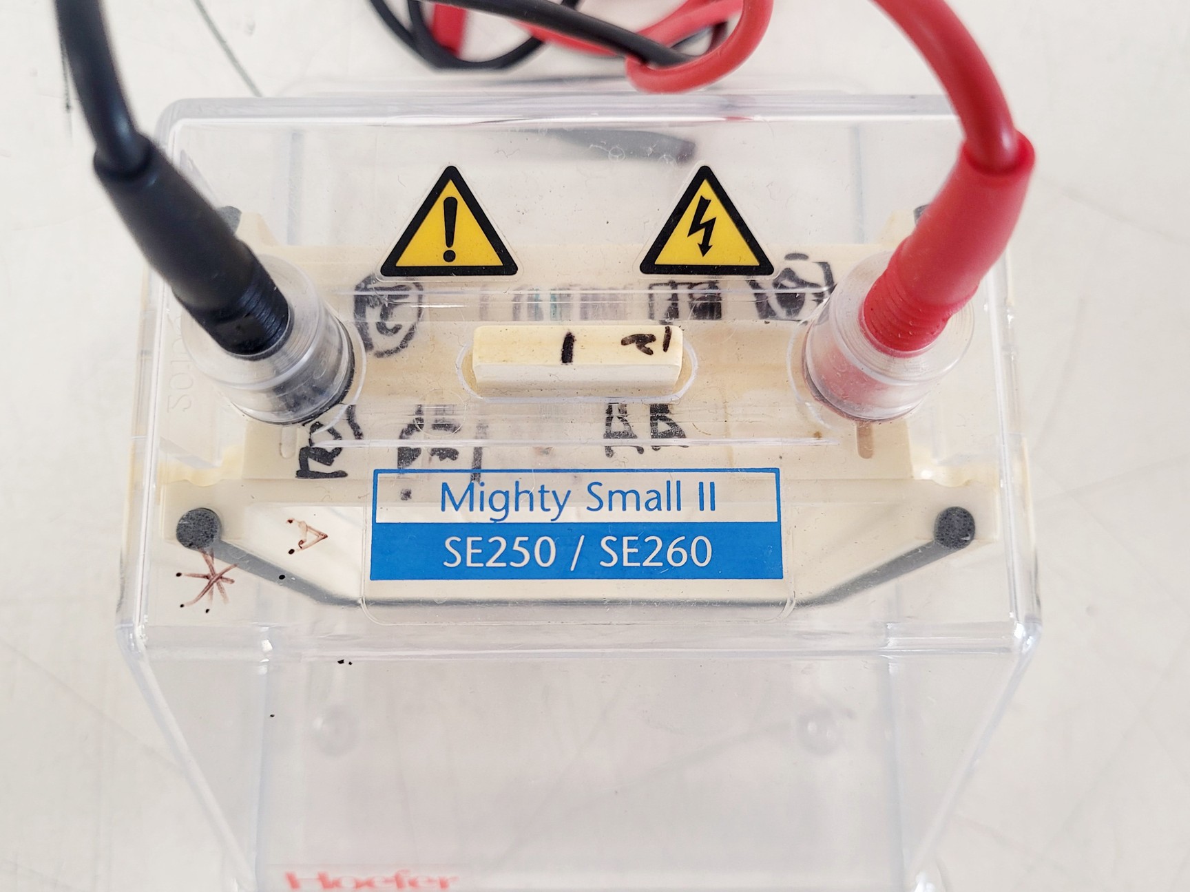 Image of Hoefer 1D Protein Separation & Blotting System (TE77X, SE600, SE250, ImmunoBlot)
