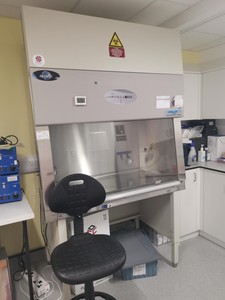 Thumbnail image of NuAire LabGard® ES NU-543-400E Class II Safety Cabinet Lab