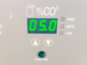 Thumbnail image of Borolabs Shellab 2323/TC CO2 Incubator