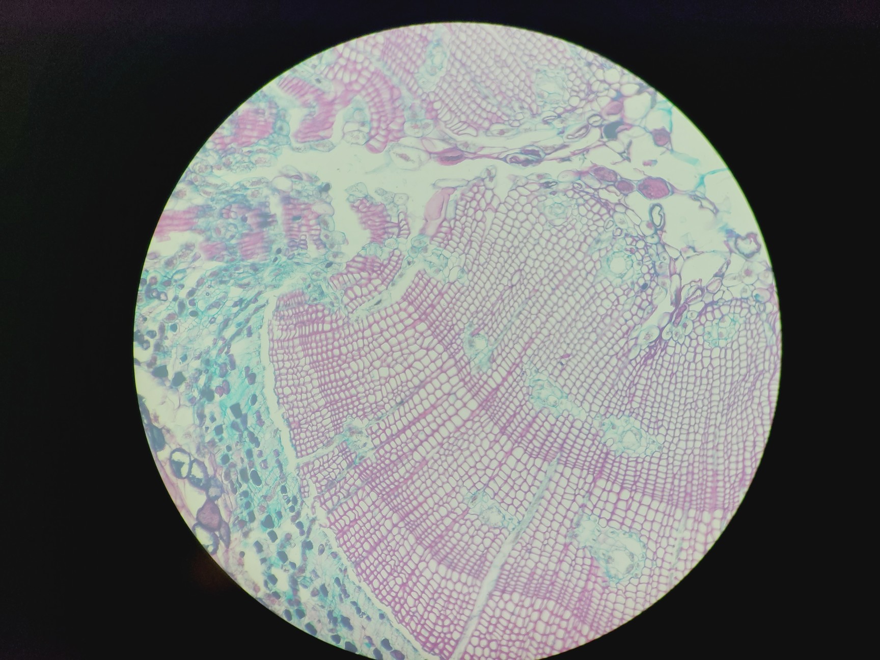 Image of Zeiss LD Plan-NEOFLUAR 20x/0.4 Korr Microscope Objective