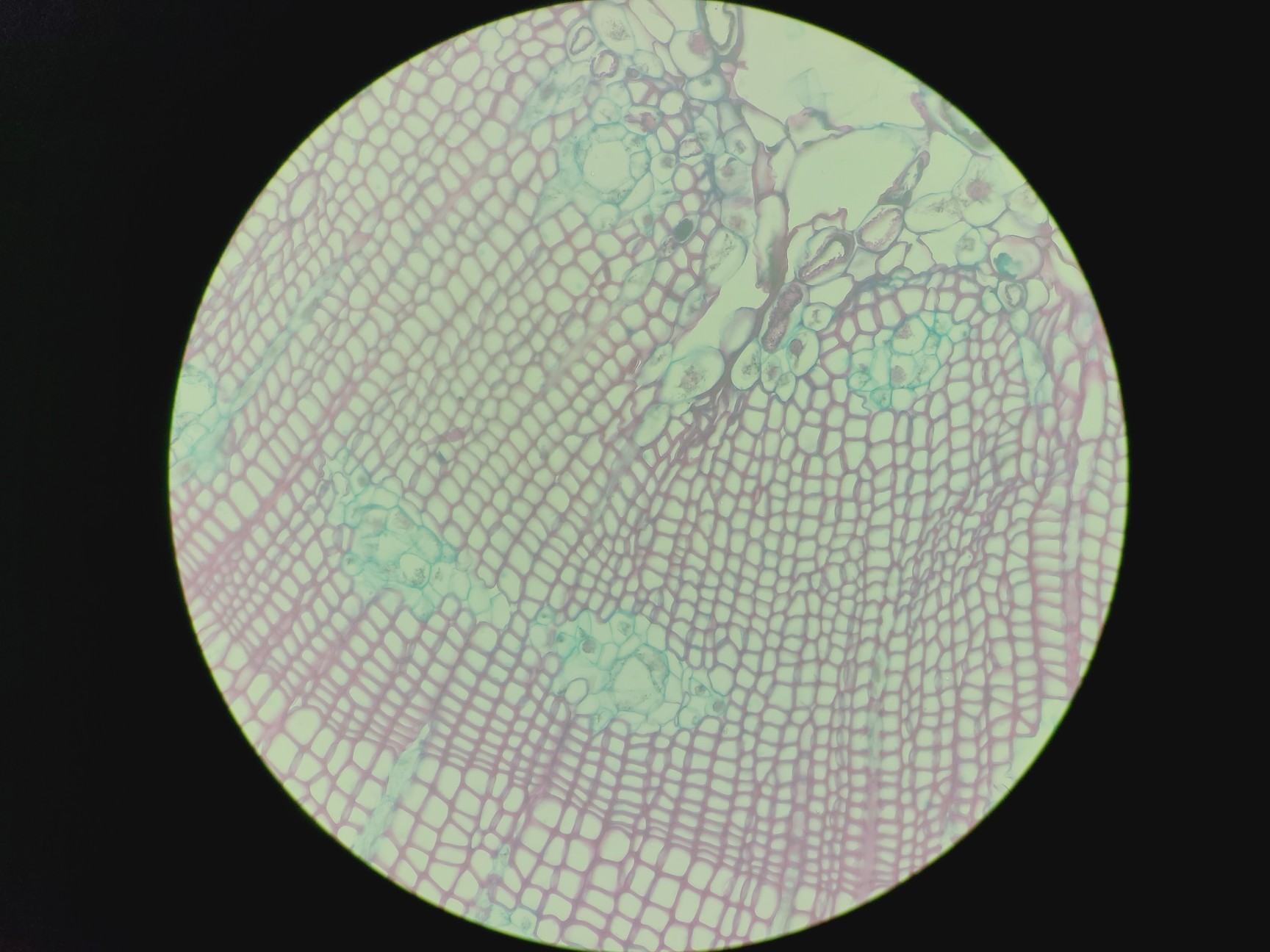 Image of Zeiss LD Plan-NEOFLUAR 40x/0.6 Korr Microscope Objective