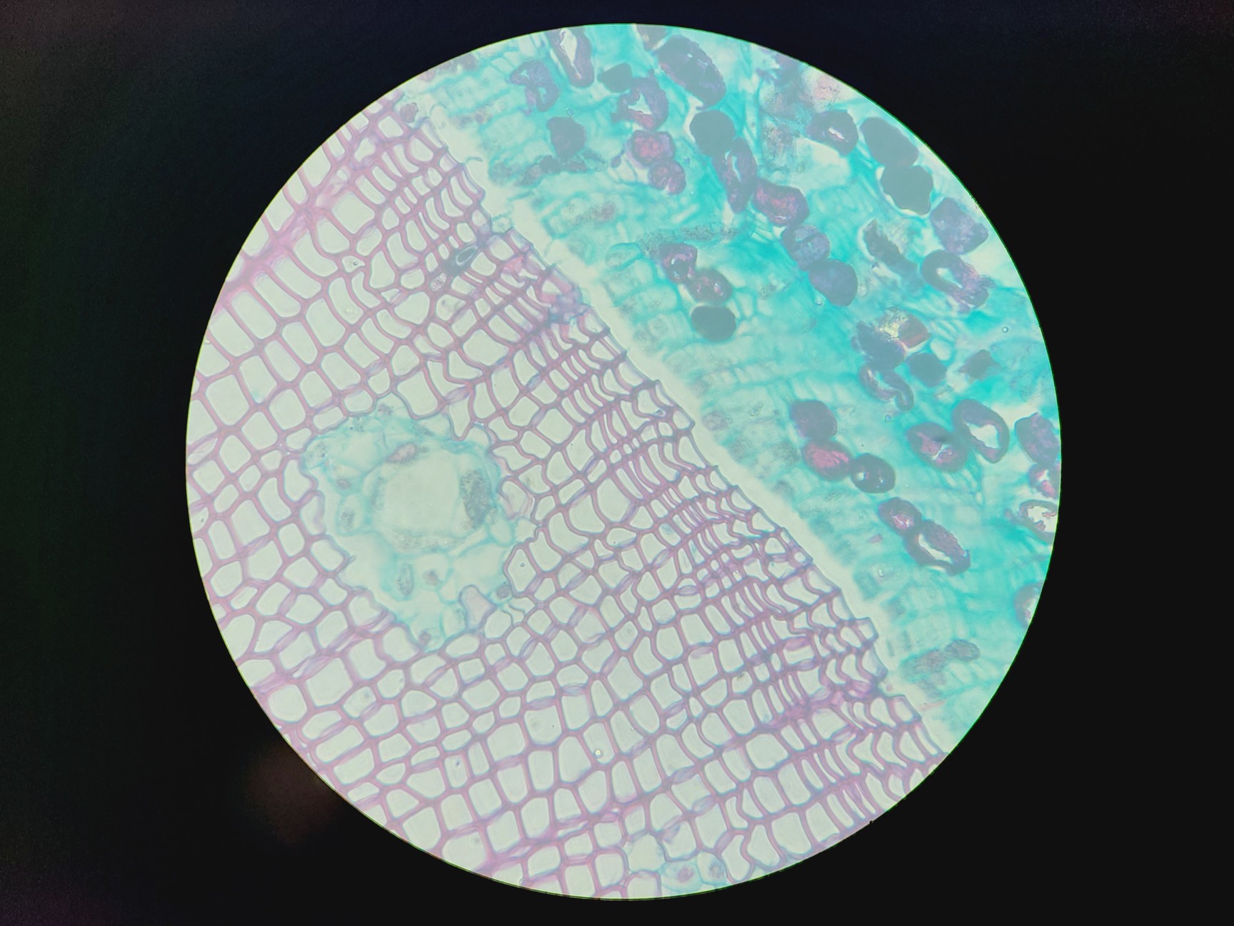 Image of Zeiss LD Plan-NEOFLUAR 63x/0.75 Korr Microscope Objective
