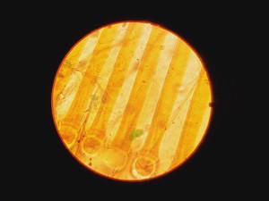 Thumbnail image of Leica DME Compound Microscope W/ 4x/10x/40x/100x Objectives
