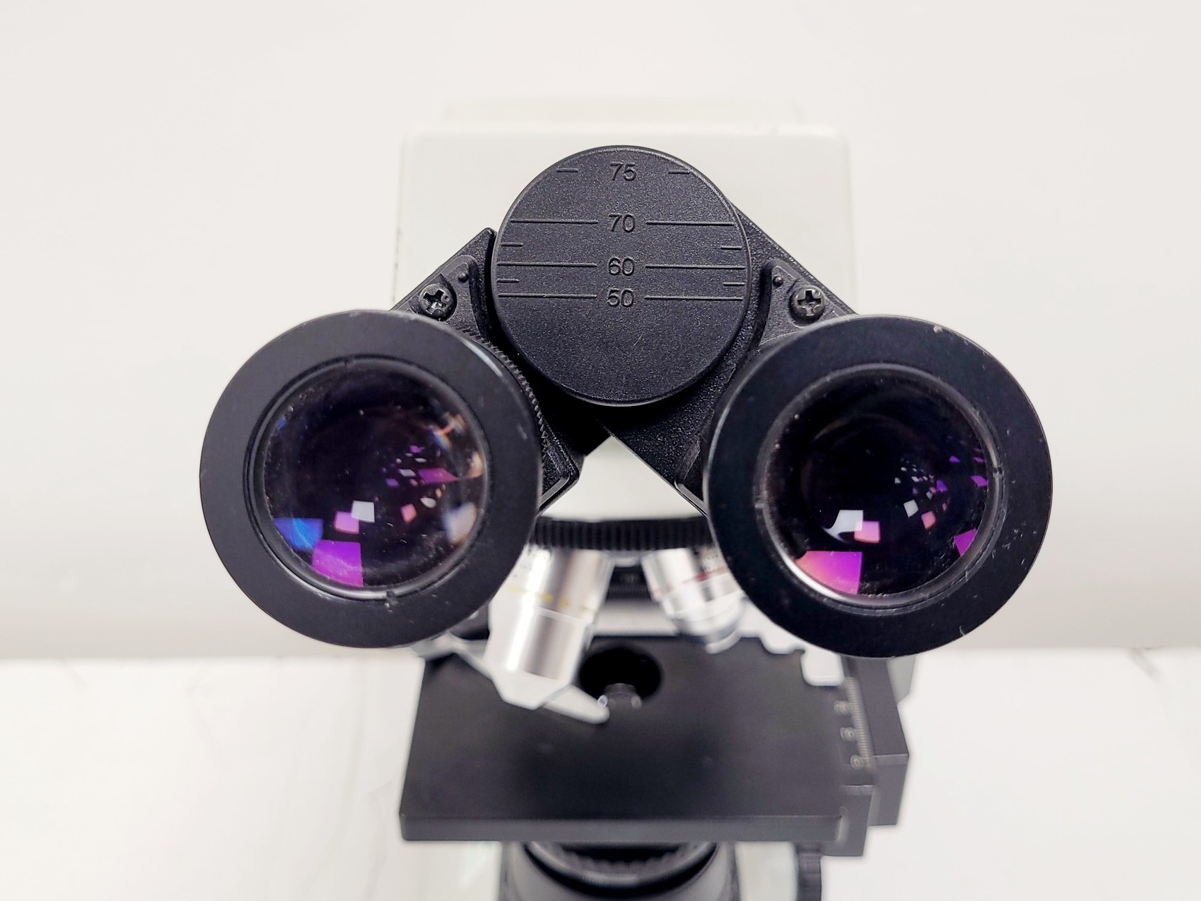 Image of Olympus CX21FS1 Compound Microscope W/ 4x/10x/40x/100x Objectives