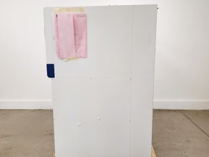 Thumbnail image of Esco AHS-4A1 Laminar Air Flow Safety Cabinet 1.2m Lab