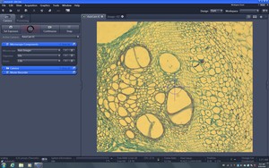 Thumbnail image of  Carl Zeiss Axio Scope.A1 Microscope w/ AxioCam ICc 5, CoolLED & PC