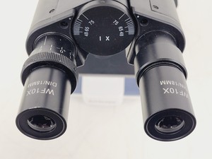 Thumbnail image of Amscope T120 Series Compound Microscope w/ 4 x Objectives 4/10/40/100 Oil 