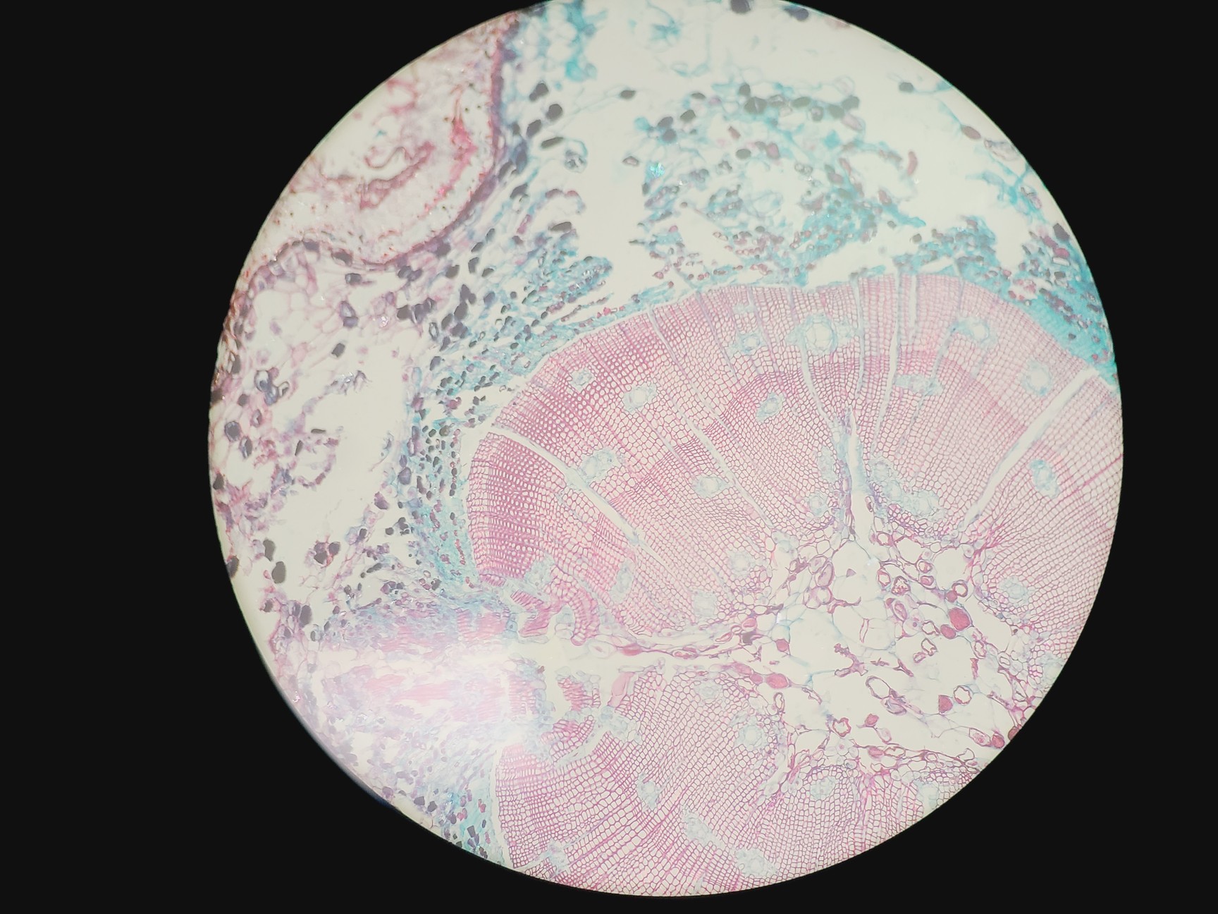 Image of Zeiss LSM 510 META Confocal Microscope System w/ Axiovert 200M & Lasers