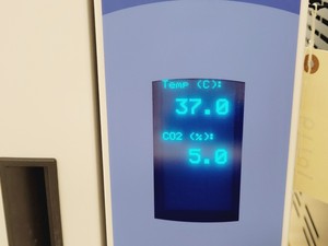 Thumbnail image of Thermo Scientific Midi 40 Model 3404 CO2 Incubator